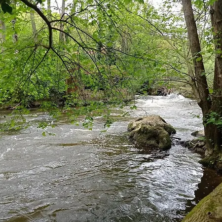 Evasion En Champagne, Proche De Paris Et Des 2 Parcs *